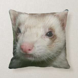 Fur Baby Cute Face of a Ferret Cushion