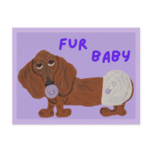 Fur Baby Dachshund Puppy