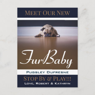 Fur Baby "New Pet" Announcement Postcard