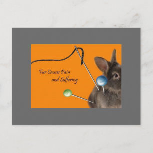 Fur Causes Pain & Suffering Postcard