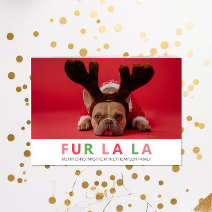 Fur La La Christmas Funny Pet Dog Lover Photo Holiday Card