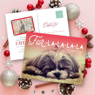 Fur La La La La Script Dog Lover Photo Funny Pet Holiday Postcard