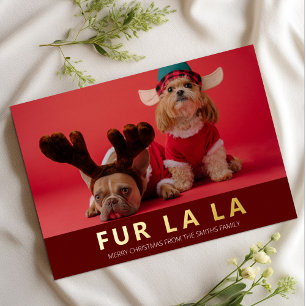 Fur La La Red Gold Modern Pet Christmas Photo Foil Holiday Card