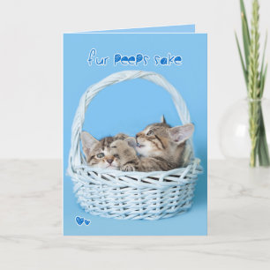 fur Peeps Sake Two Twin Easter Kittens Fighting Holiday Card
