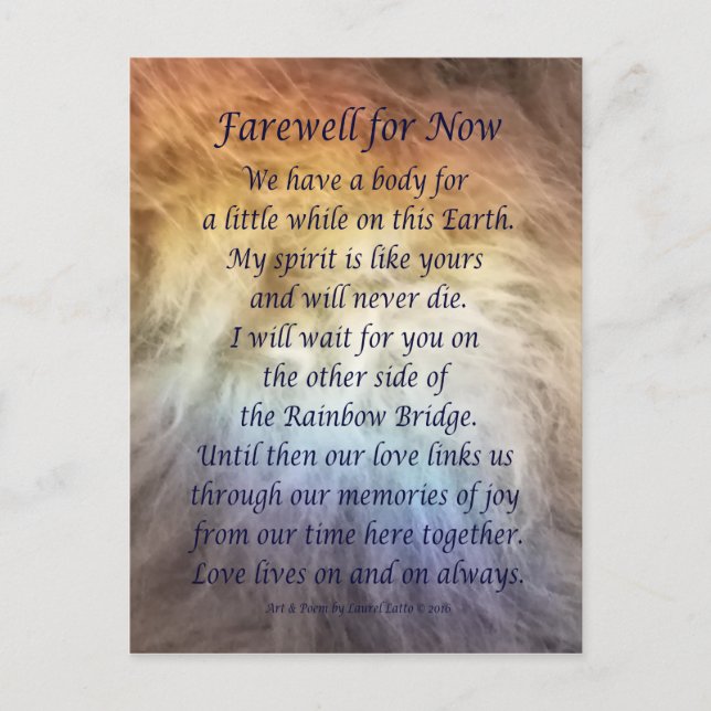 Fur Rainbow Bridge Pet Grief Sympathy Postcards (Front)