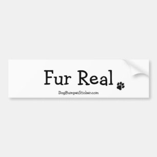 Fur Real Bumper Sticker