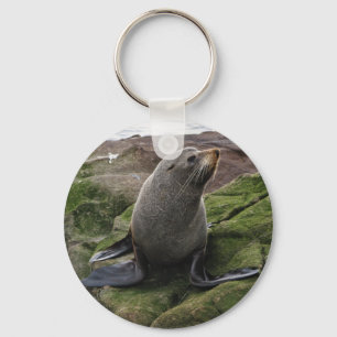 Fur Seal Key Ring