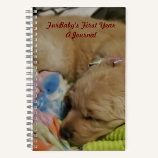 FurBaby's First Year  A Journal