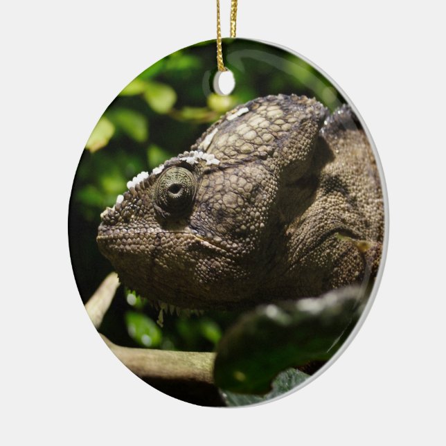 Furcifer oustaleti ceramic tree decoration (Left)