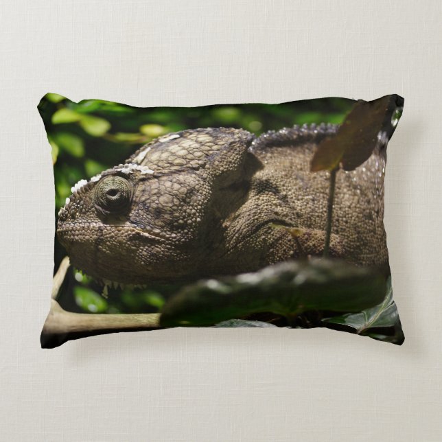 Furcifer oustaleti decorative cushion (Front)
