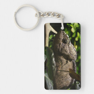 Furcifer oustaleti key ring