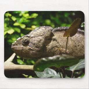 Furcifer oustaleti mouse mat
