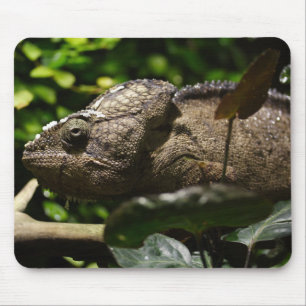 Furcifer oustaleti mouse mat