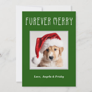 Furever Merry Personalised Christmas Card