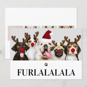 Furlalala Dog Christmas 5 Photo Card