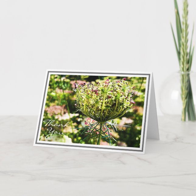 Furled Queen Anne’s Lace Flower With Green Foliage Card (Front)