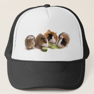 furnace guinea pigs who eat, trucker hat