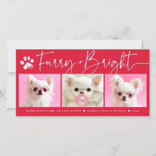 Furry and Bright 3 Photo Pet Collage Holiday Card