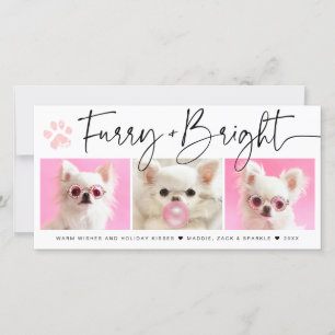 Furry and Bright   3 Photo Pet Collage Holiday Card