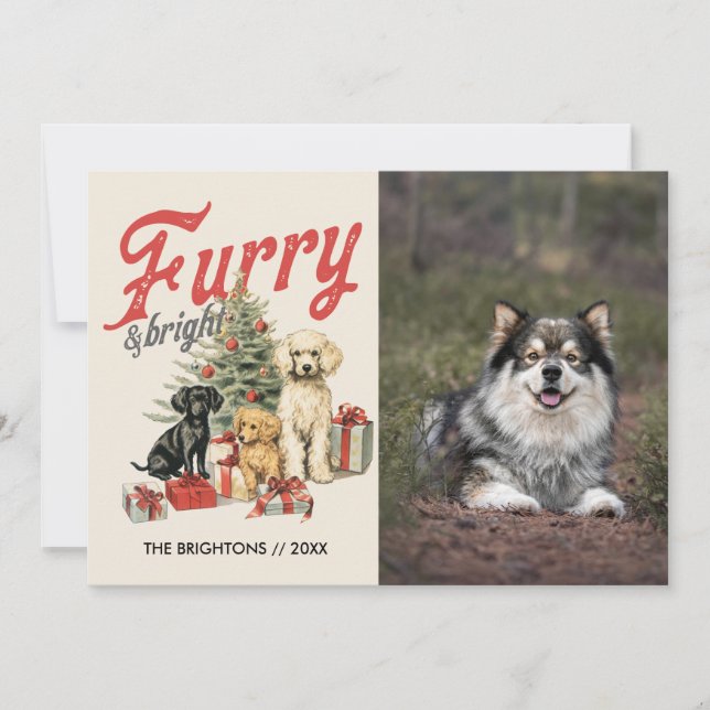 FURRY AND BRIGHT CHRISTMAS DOG PET ANIMAL HOLIDAY CARD (Front)