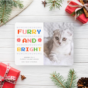 Furry and Bright   Christmas Holiday Cat Photo