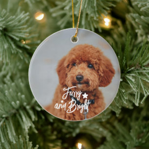 Furry and Bright Dog or Cat Photo Personalised Ceramic Tree Decoration