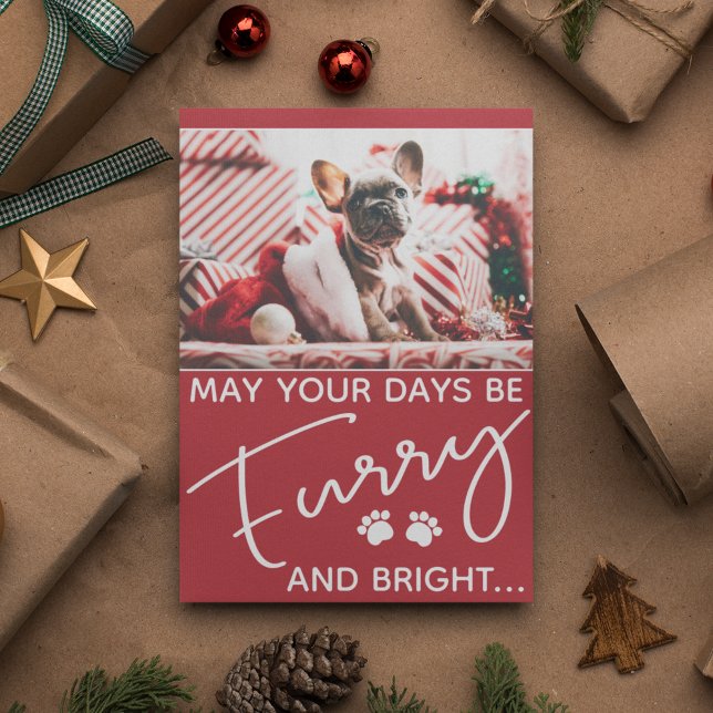 Furry and bright dog photo Christmas (Creator Uploaded)