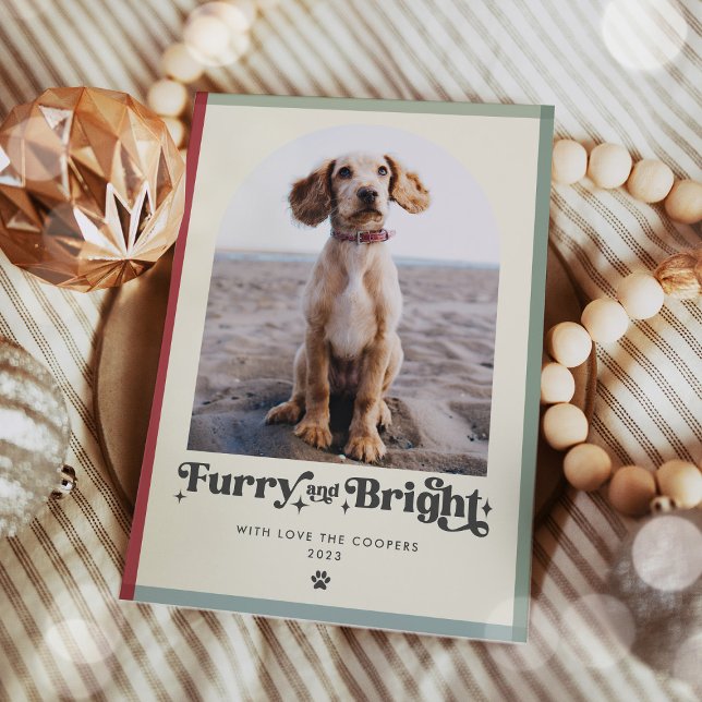 Furry And Bright Dog Photo Funny Christmas Holiday Card (Creator Uploaded)