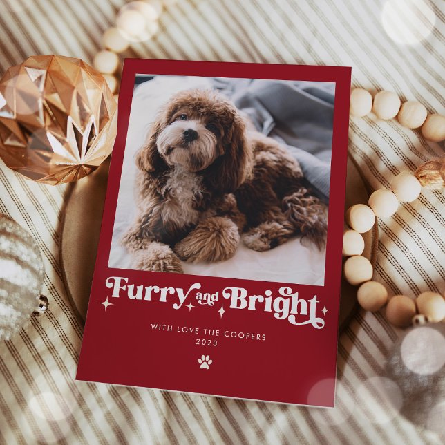 Furry And Bright Dog Photo Funny Christmas Holiday Card (Creator Uploaded)