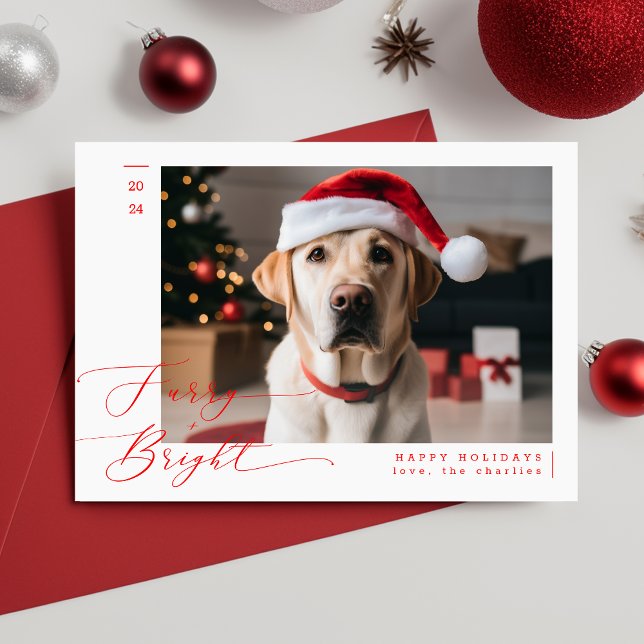 Furry and Bright Funny Pet Dog Photo Christmas Holiday Card (Creator Uploaded)