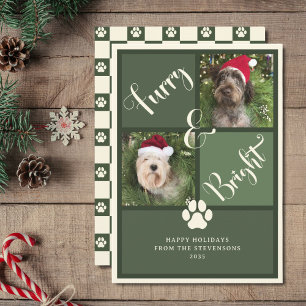 Furry And Bright Green Photo Collage Dog Holiday Card