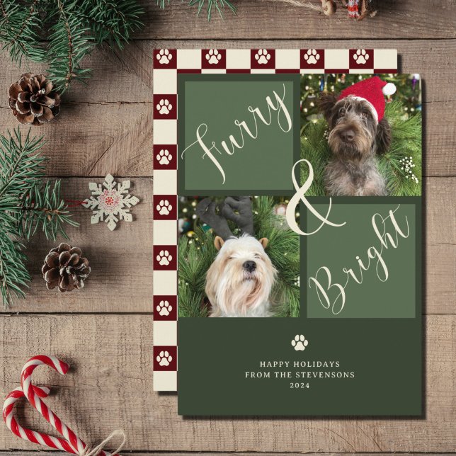 Furry And Bright Green Red 2 Photo Dog  Holiday Card (Creator Uploaded)