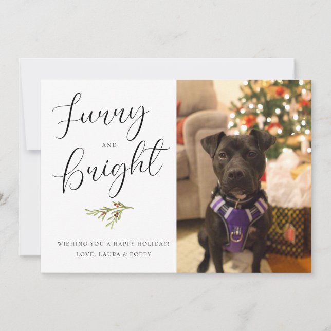 Furry and Bright Holiday Card (Front)