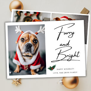 Furry and Bright Pet Dog Photo Mistletoe Christmas Holiday Card