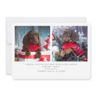 Furry and Bright Pet Photo Christmas Holiday Card