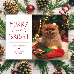 Furry and Bright Pet Photo Christmas Holiday Red Card