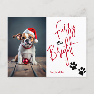 Furry and Bright Pet Photo Christmas Red Holiday Postcard