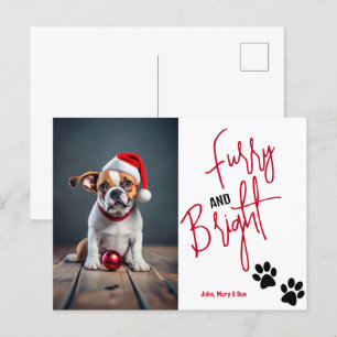 Furry and Bright Pet Photo Christmas Red Postcard