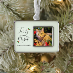 Furry and Bright Pet Photo Silver Plated Framed Ornament
