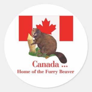 Furry Beaver Classic Round Sticker