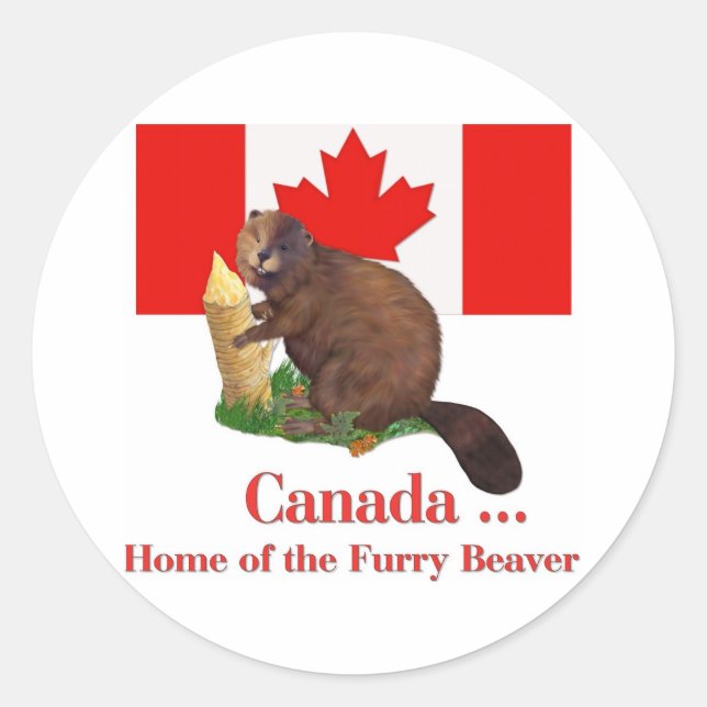 Furry Beaver Classic Round Sticker (Front)
