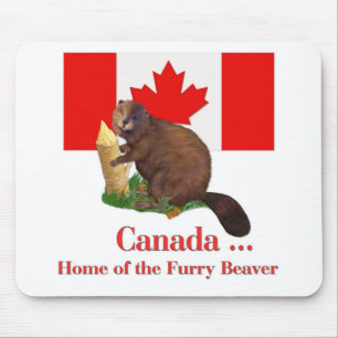 Furry Beaver Mouse Mat