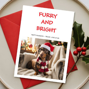 Furry & Bright Colourful dog Christmas Card