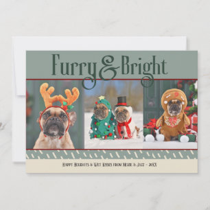 Furry & Bright Dog Christmas Photo Holiday Card