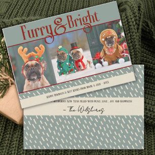 Furry & Bright Dog Christmas Photo Holiday Card