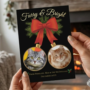 Furry & Bright Festive Photo Family Cat Foil Holiday Card