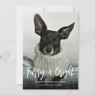 Furry Bright Happy Holidays Pet Dog Photo Holiday Card