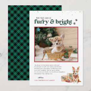 Furry & Bright   Pet Holiday Photo Card