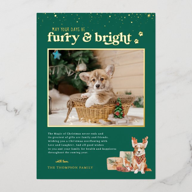 Furry & Bright | Pet Holiday Photo Card (Front)