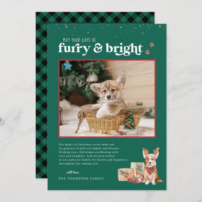 Furry & Bright | Pet Holiday Photo Card (Front/Back)